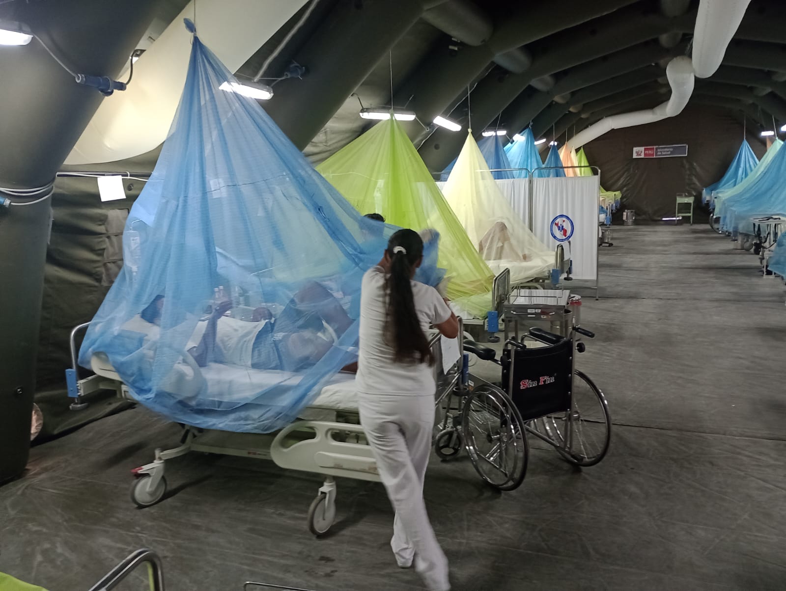 Piura: ante preocupante alza de contagios por dengue Minsa emite alerta epidemiológica