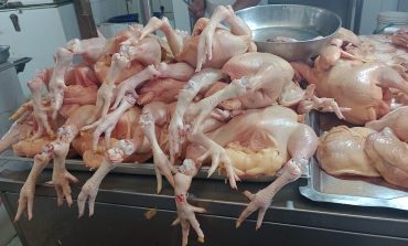 Piura: Precio del kilo de pollo baja a 8.50 soles en el Mercado Central