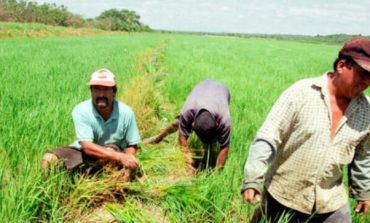 Ejecutivo alista medidas para atender a los pequeños productores afectados por lluvias