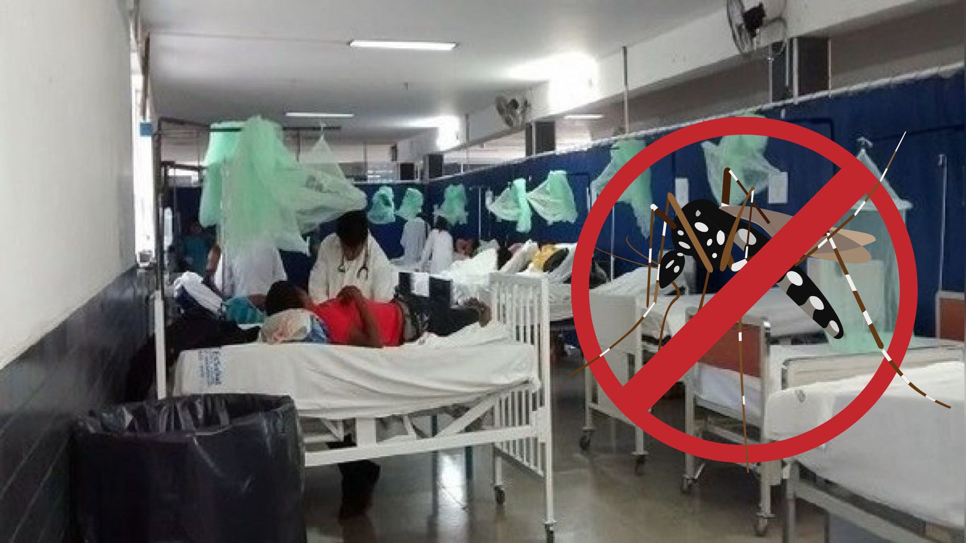 Piura: Minsa anuncia nueva declaratoria de emergencia por dengue en la región