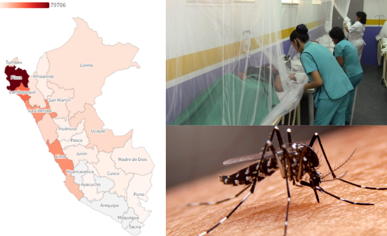 Ministerio de Salud: “afrontaremos otra epidemia de dengue este año”