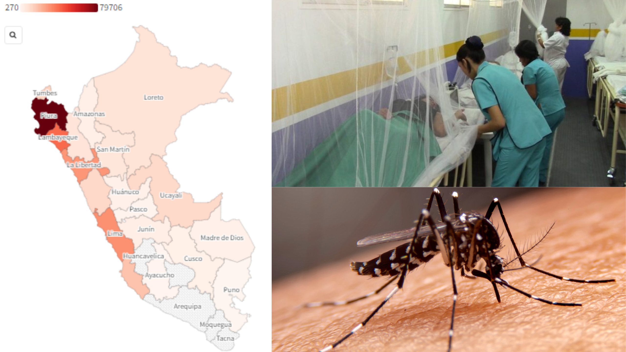 Ministerio de Salud: “afrontaremos otra epidemia de dengue este año”