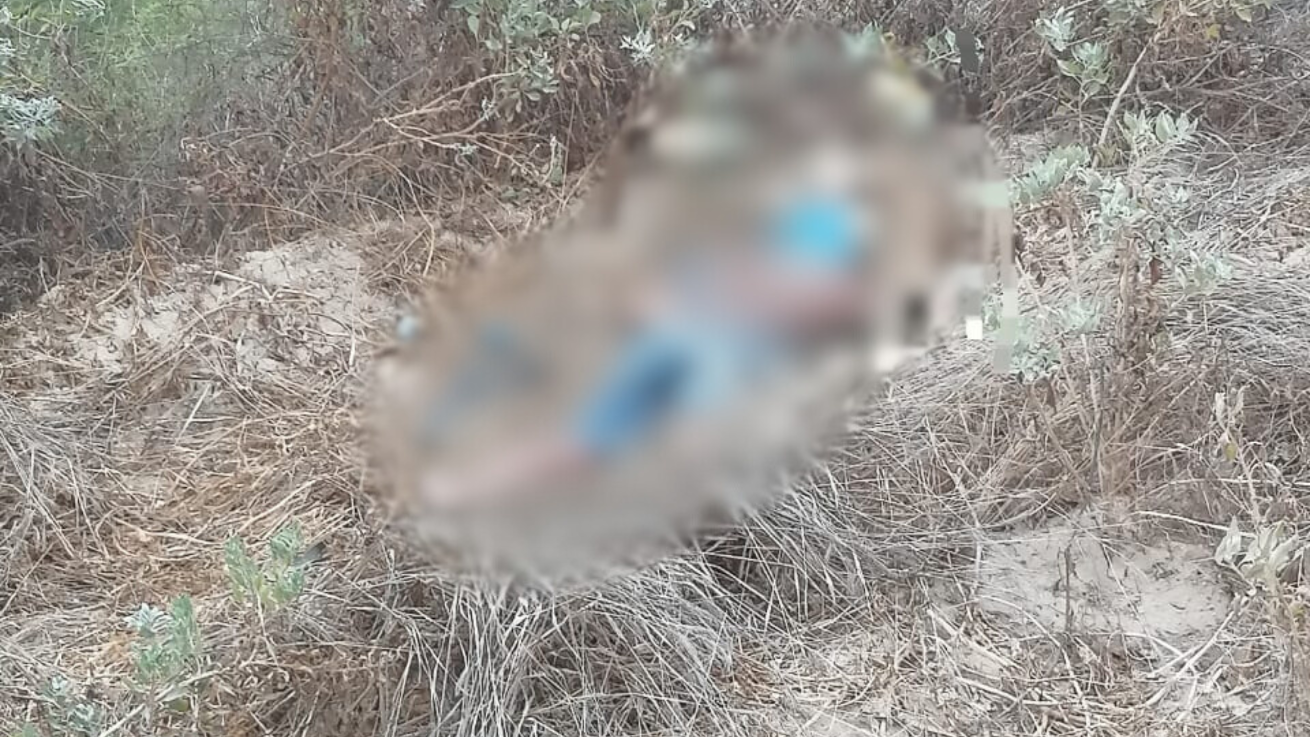 Piura: Encuentran cuerpo de un hombre con signos de tortura en descampado de Paita
