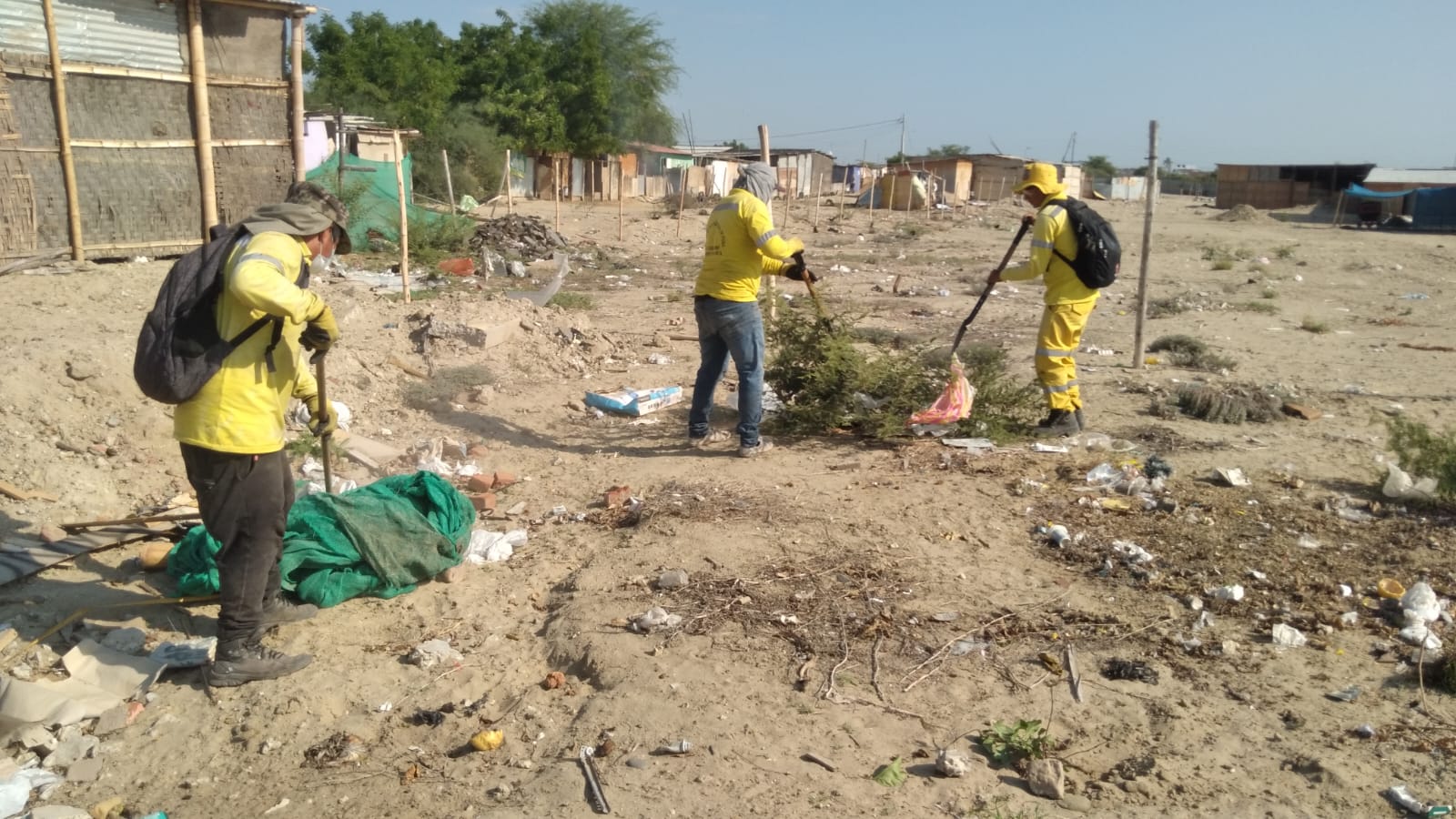 Piura: recogen 15 toneladas de desechos en zona del A.H Mónica Zapata