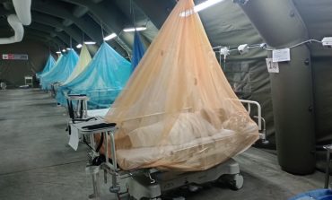 Piura: Colegio Médico reporta primer fallecido a causa del dengue en la provincia de Talara