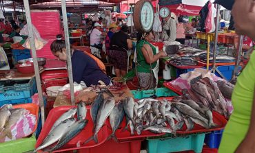 Piura: Precio por kilo de pescado se mantiene al alcance de las amas de casa