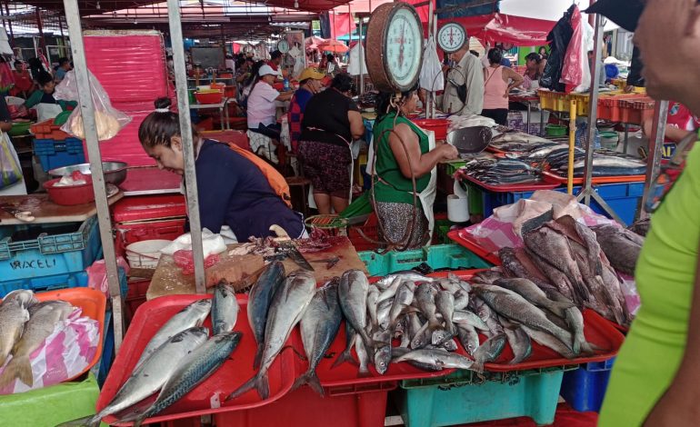 Piura: Precio por kilo de pescado se mantiene al alcance de las amas de casa