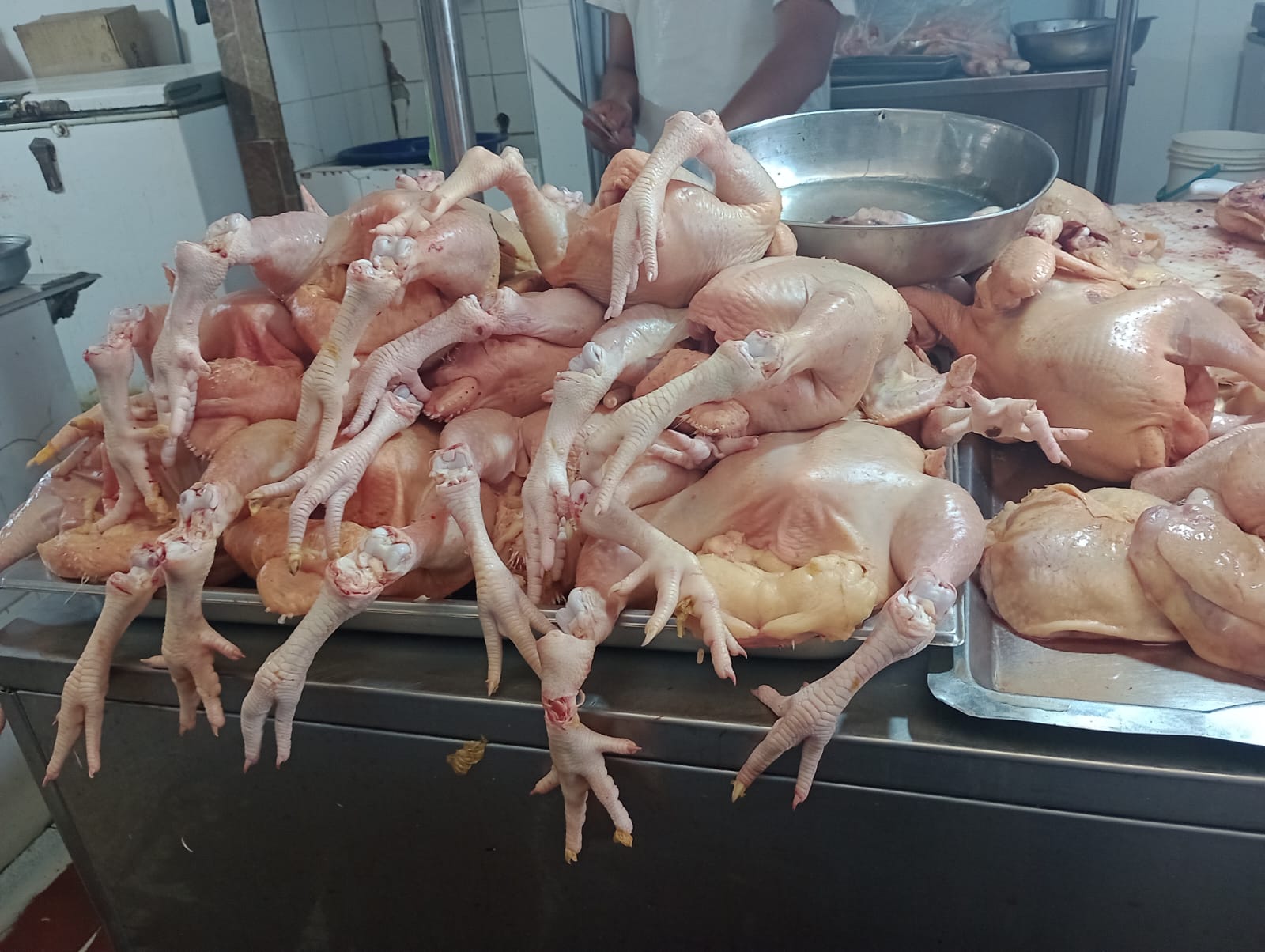 Piura: Precio del kilo de pollo aumentó a 11 soles debido a escasez del ave en productoras