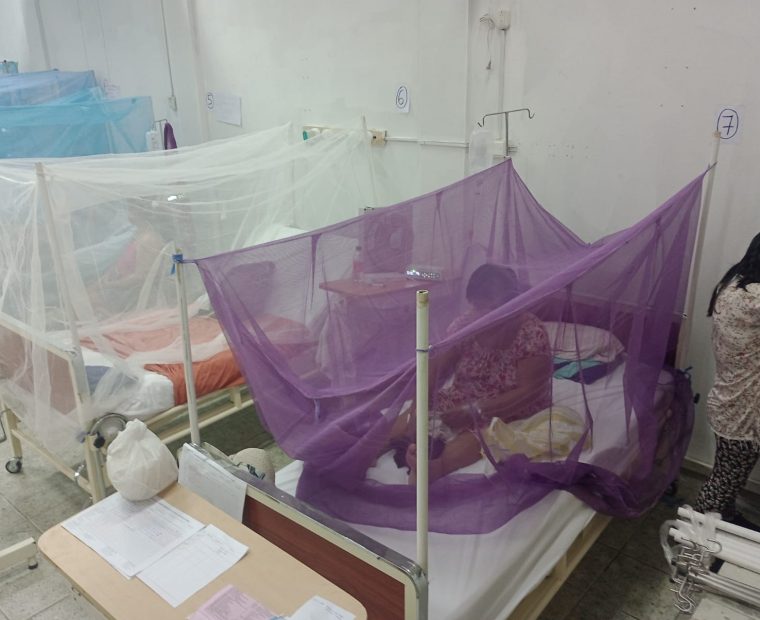 Piura: Mil 374 menores de 11 años se contagiaron de dengue en la región