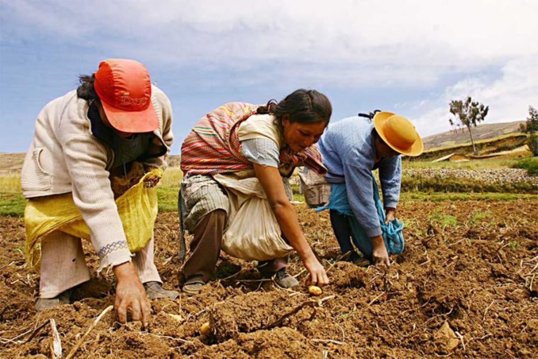 Pequeños agricultores accederán a créditos con tasas del 5%