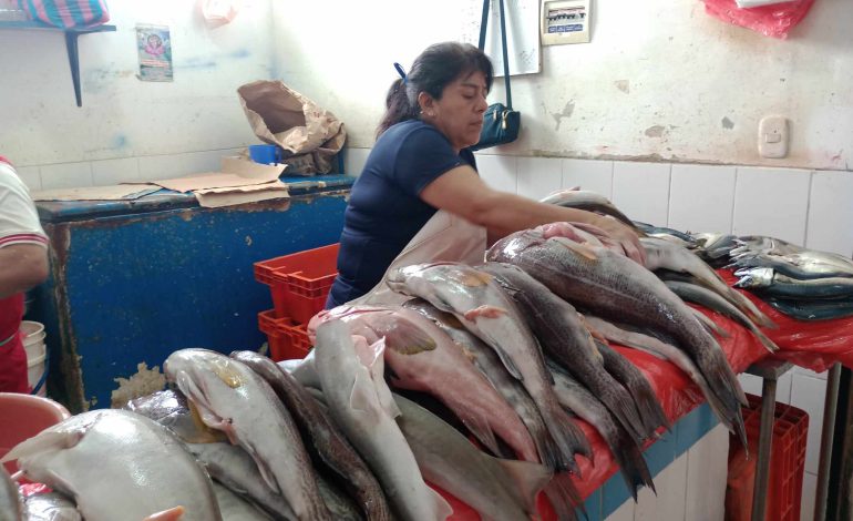 Piura: “Si habrá pescado para Semana Santa, pero estará caro”