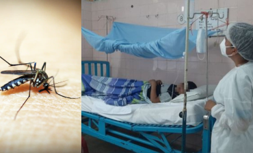Piura: Se reportan 12 fallecidos y casi 9 mil infectados por dengue en la región