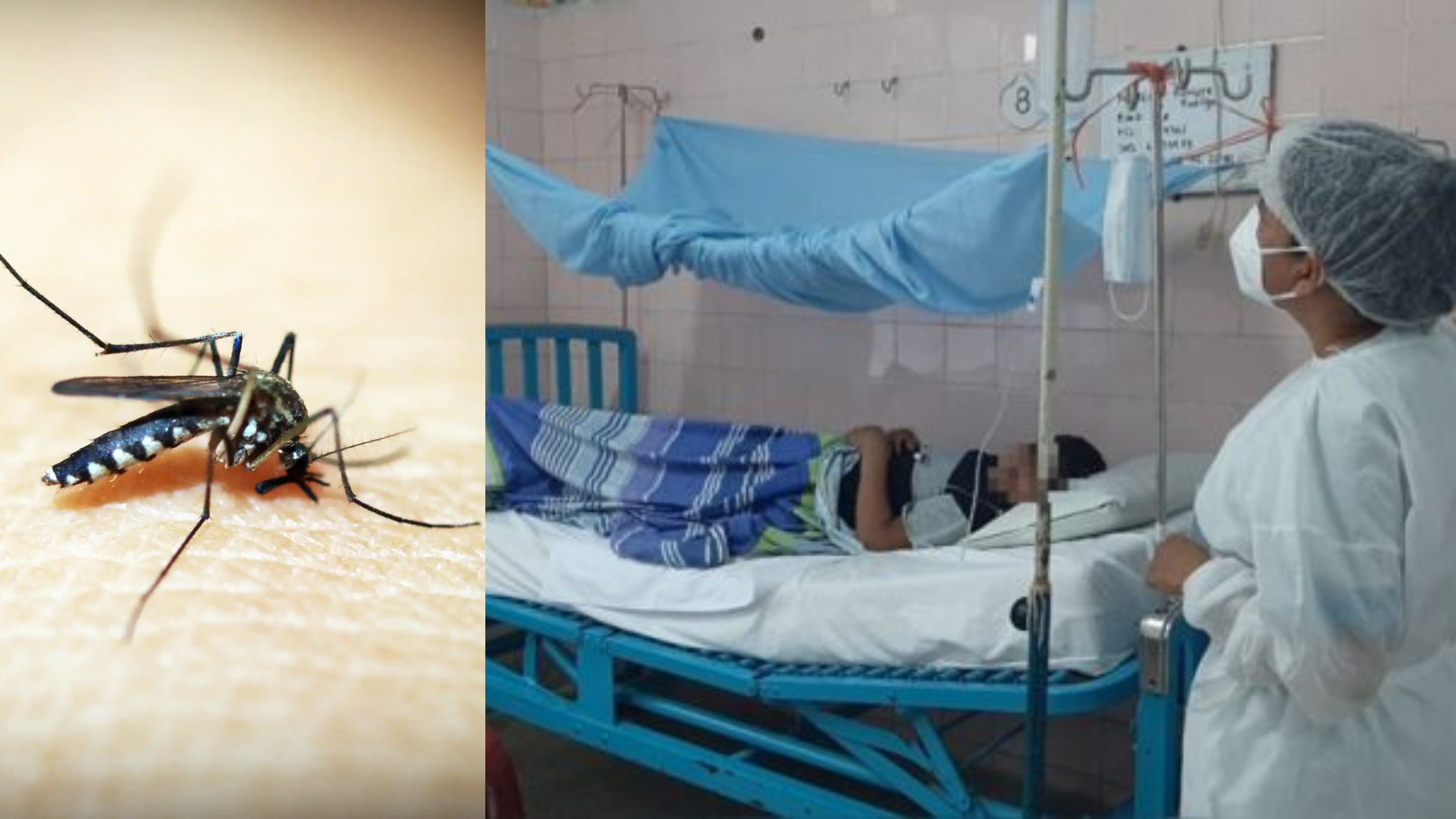Asignan un millón de soles para combatir el dengue en Paita FOTO INFOBAE