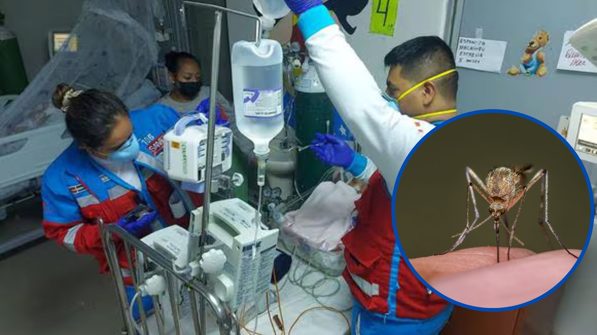Dengue en Piura: cuatro niños han muerto por el virus, la cifra más alta en el país