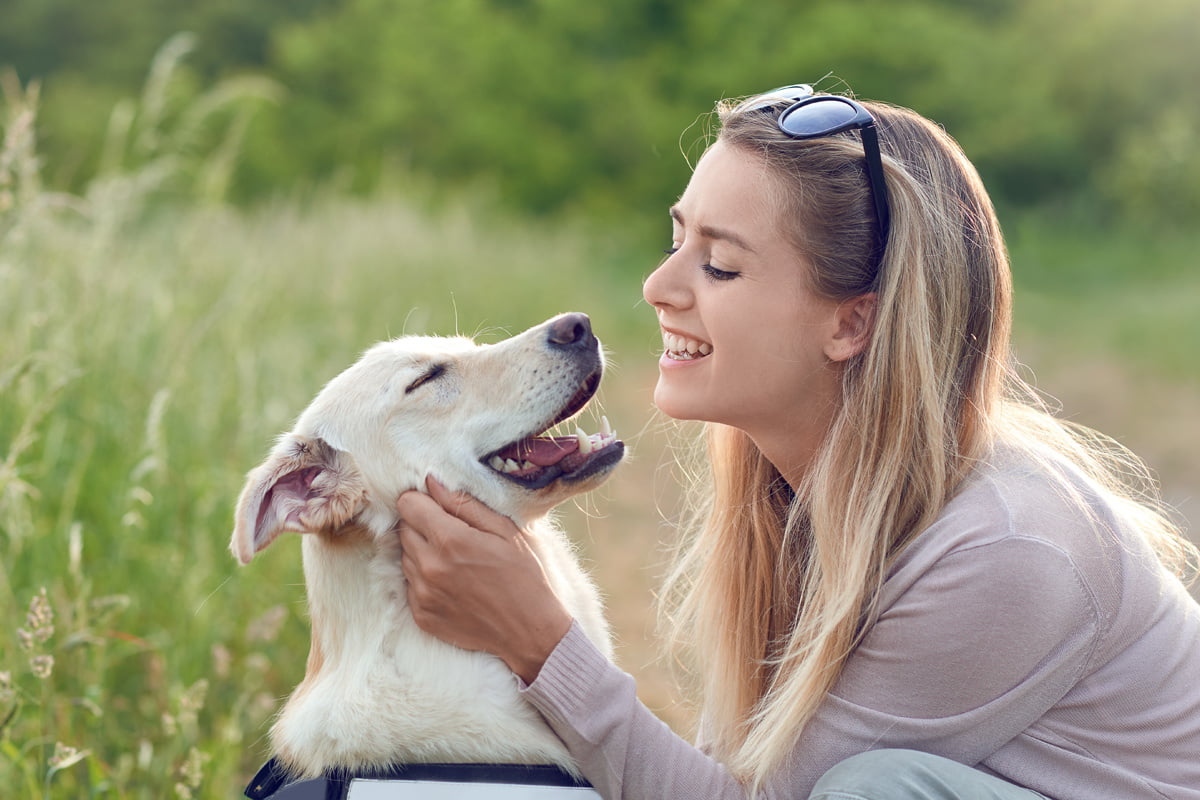¿Cómo proteger a tus mascotas frente a las altas temperaturas ?