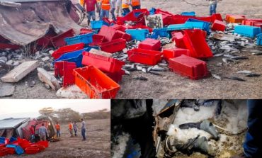 Piura: Comerciante de pescado fallece tras volcadura de cámara frigorífica en óvalo de Bayovar