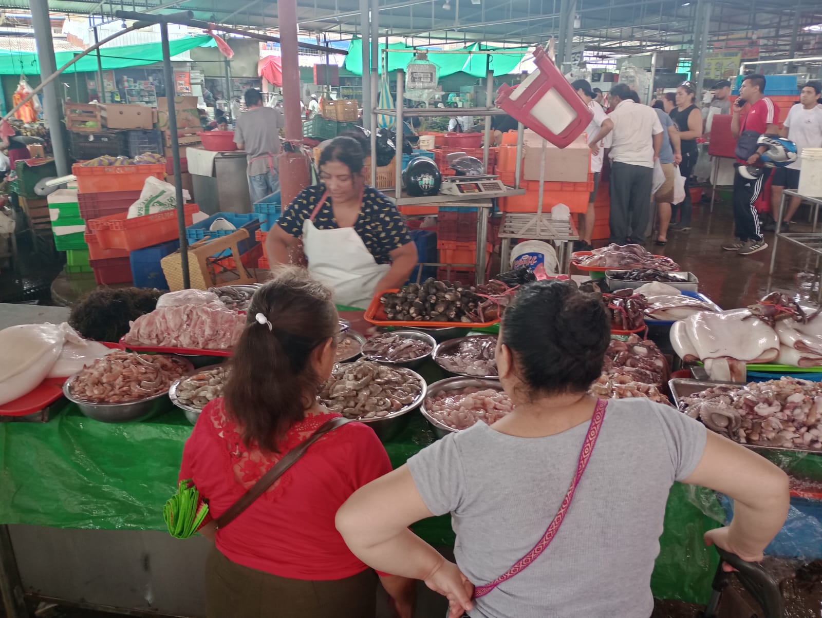 Piura: Aún hay pescado fresco en Acomipomaler, precios desde los 6 soles el kilo