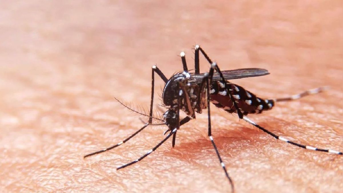 Aumentan a 25 los fallecidos por dengue en Piura
