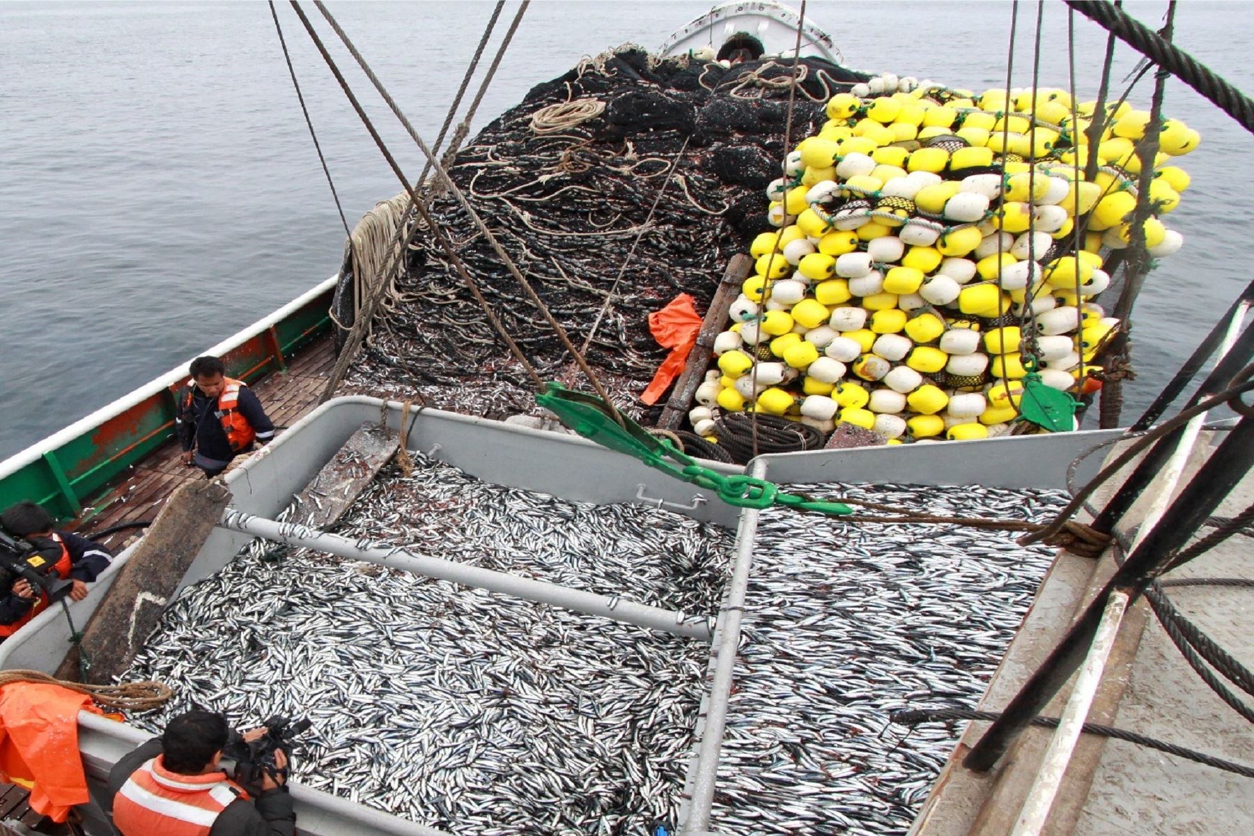 Se descargaron 150.000 toneladas de anchoveta en primeros tres días de iniciada la temporada