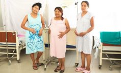 Historias de resiliencia: Tres valientes gestantes vencen el dengue junto sus bebés