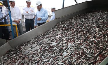 Produce: Autorizan la temporada de pesca de anchoveta por más de 2 millones de toneladas