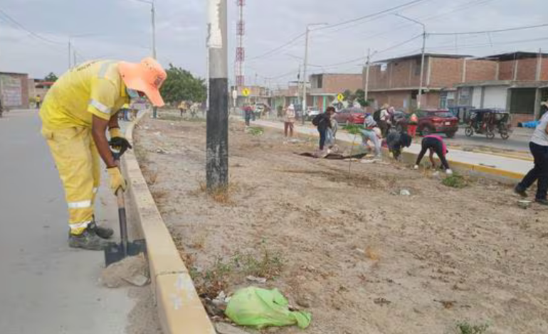 Piura: retiran 80 toneladas de residuos sólidos de la avenida Raúl Mata