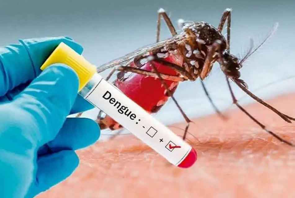 Dengue en Perú: 140 personas han muerto a causa de la epidemia en lo que va del año