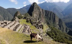 Ministerio de Cultura anunció que Joinnus dejará de vender entradas a Machu Picchu en los próximos días