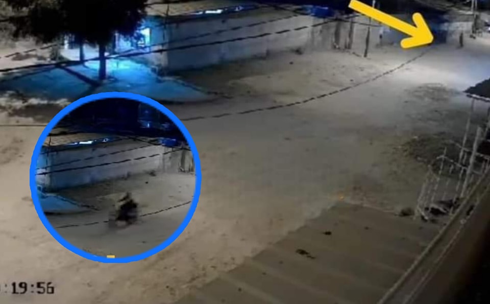 Piura: Atacan a balazos y dejan grave a joven quien se encontraba en su vivienda