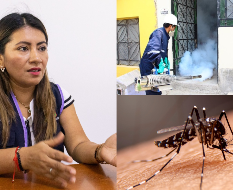 Destacan la importancia de la prevención contra el dengue en Veintiséis de Octubre