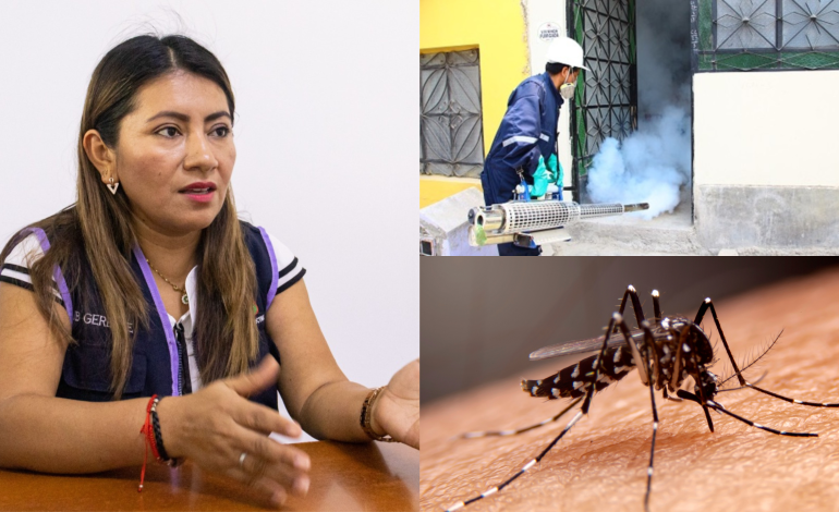 Destacan la importancia de la prevención contra el dengue en Veintiséis de Octubre