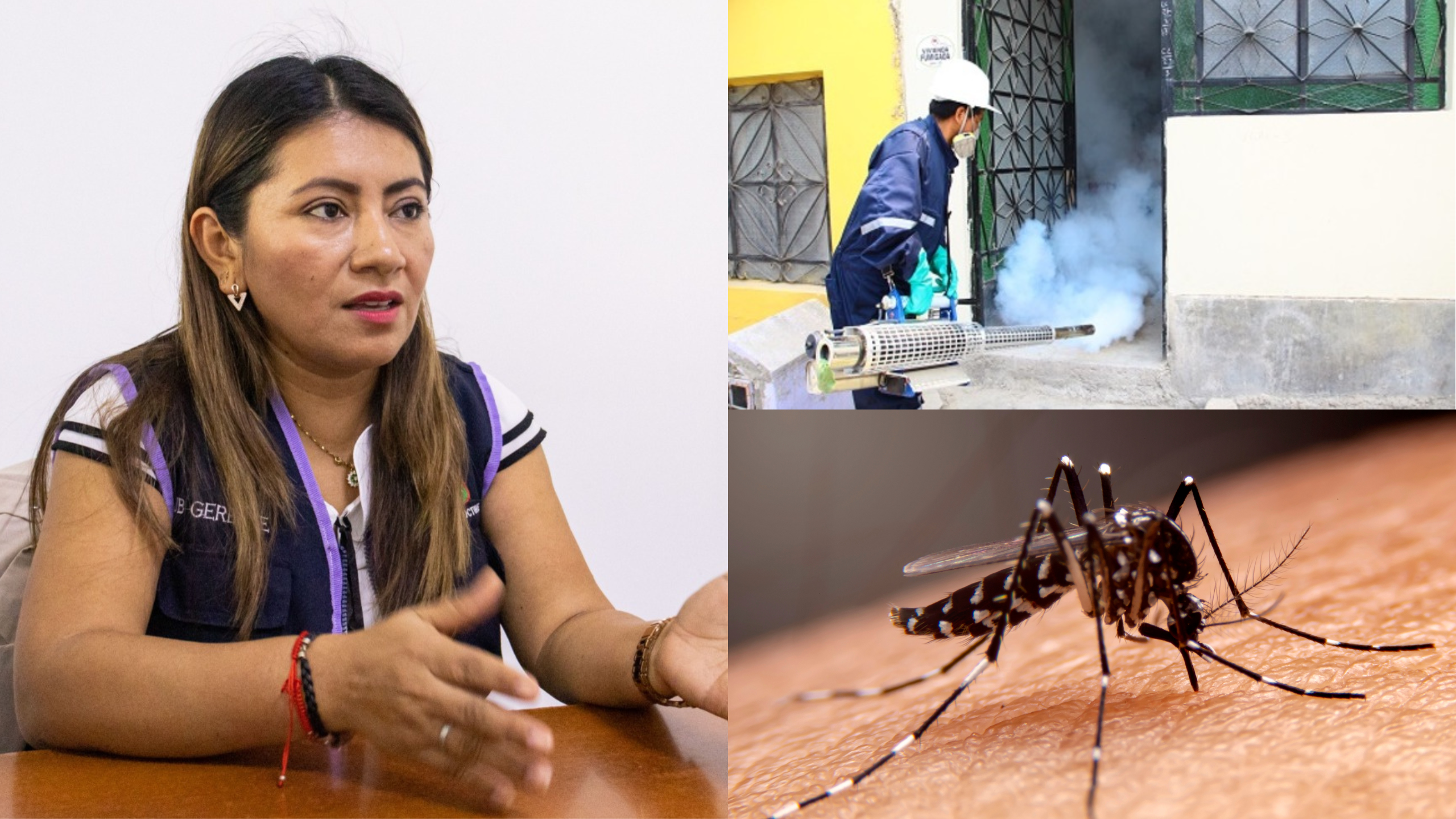 Destacan la importancia de la prevención contra el dengue en Veintiséis de Octubre