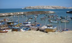 La isla Foca promoverá la pesca y el turismo responsable
