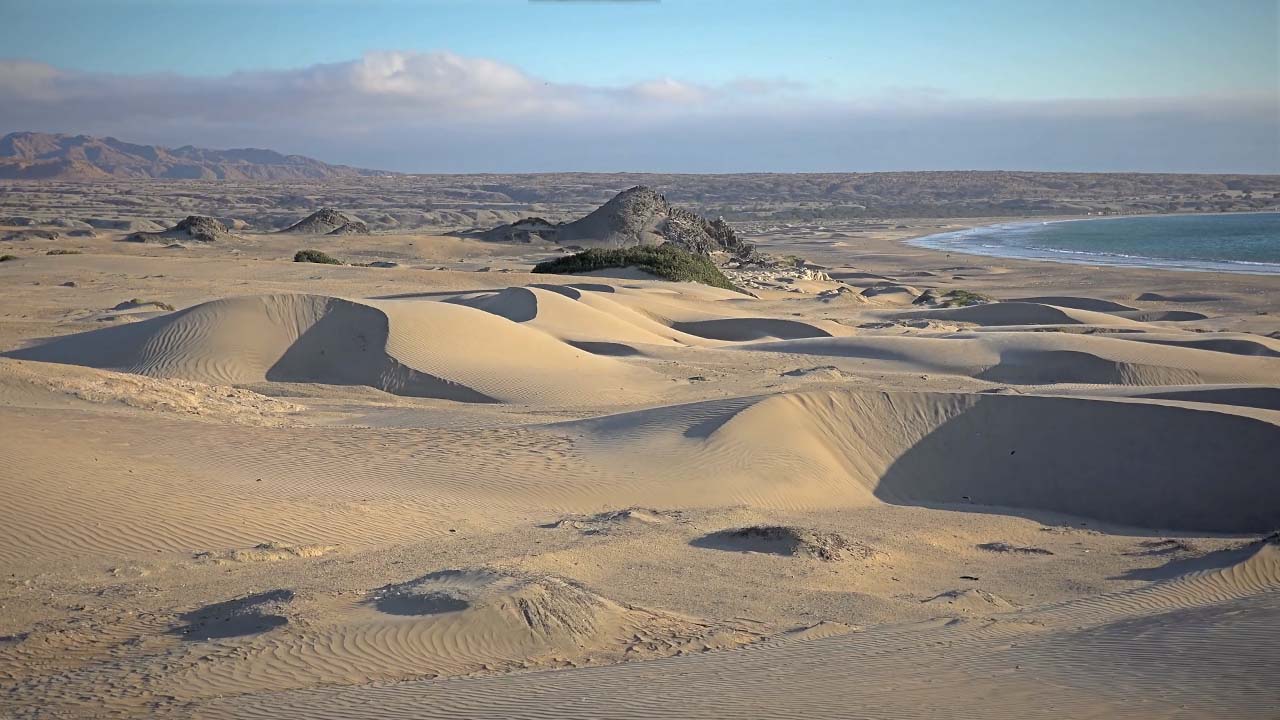 Piura: Guardaparques encuentran huesos humanos a la orilla del mar de Sechura