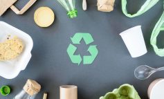 Reciclar en casa: prácticas sencillas para un gran cambio ambiental