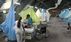 Piura: Estado amplía estad de emergencia por dengue por dos meses más