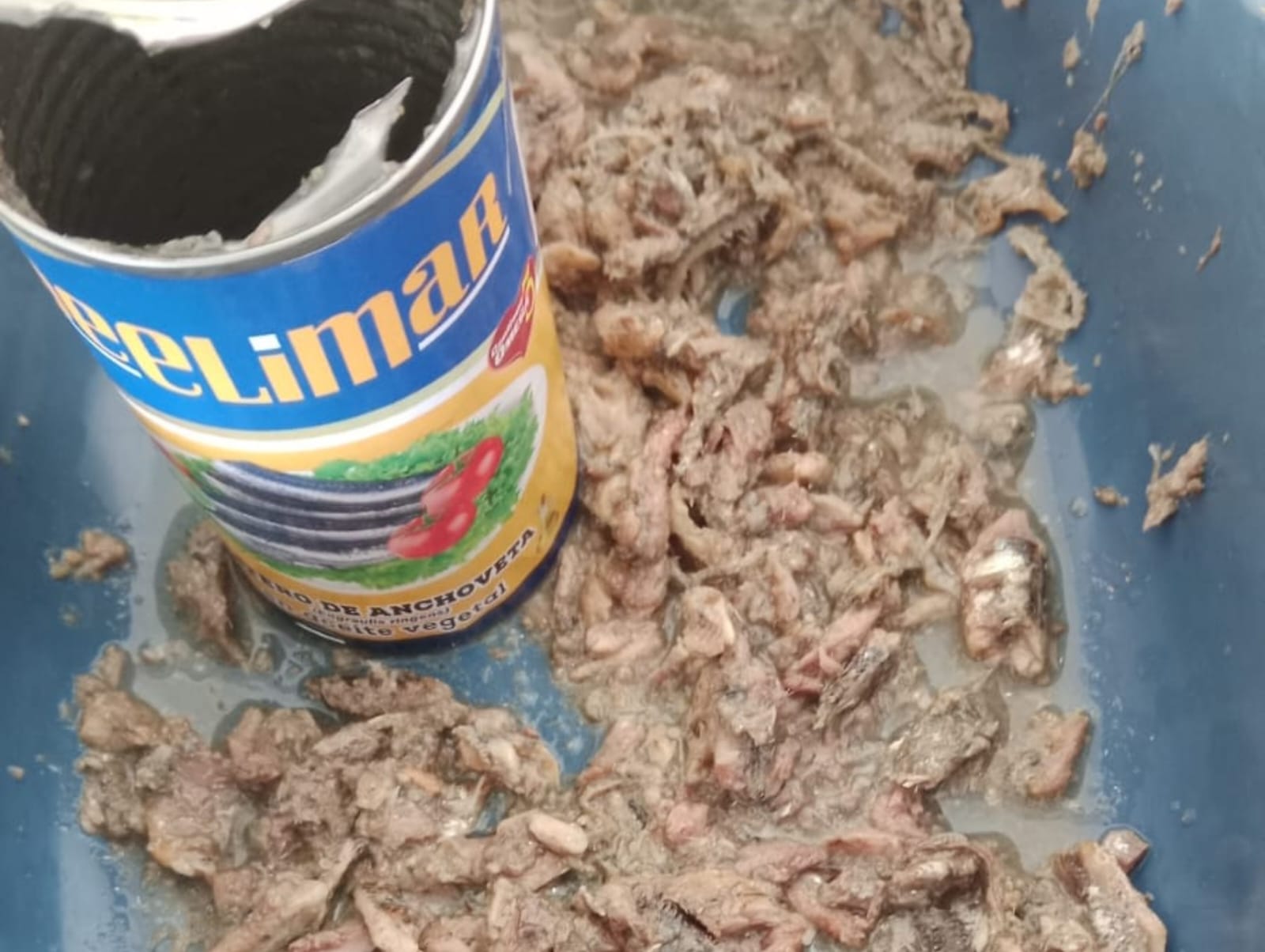 Piura: Detectan larva en conserva de anchoveta de Qali Warma