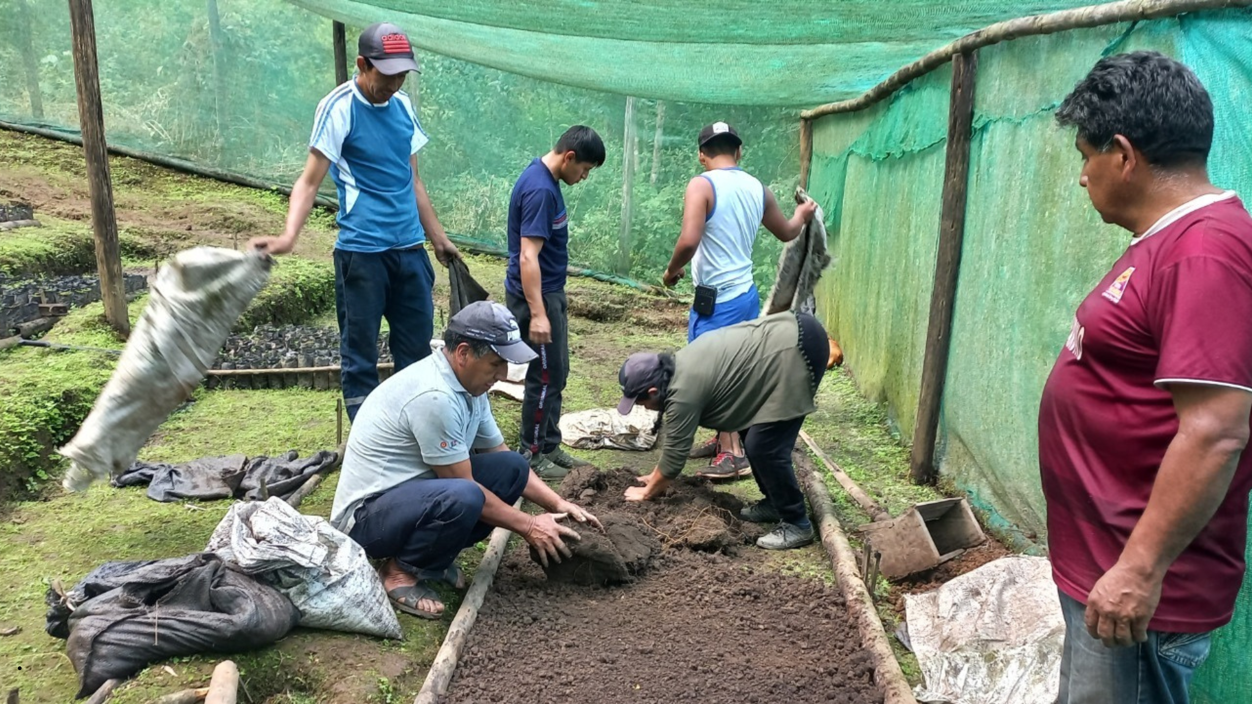 Proyecto de reforestación del GORE Piura genera 2600 jornales en Pusmalca