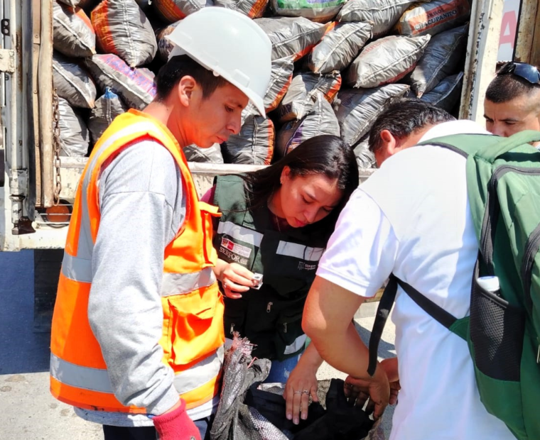 Midagri decomisa 25 toneladas de carbón de algarrobo ilegal en Piura