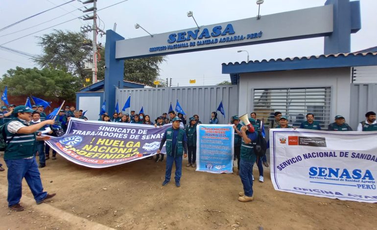 Piura: Suspenden agroexportaciones por huelga del Senasa