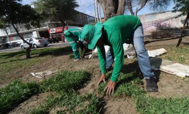 Piura: Son 86 puestos de trabajo temporales que ofertará la comuna provincial