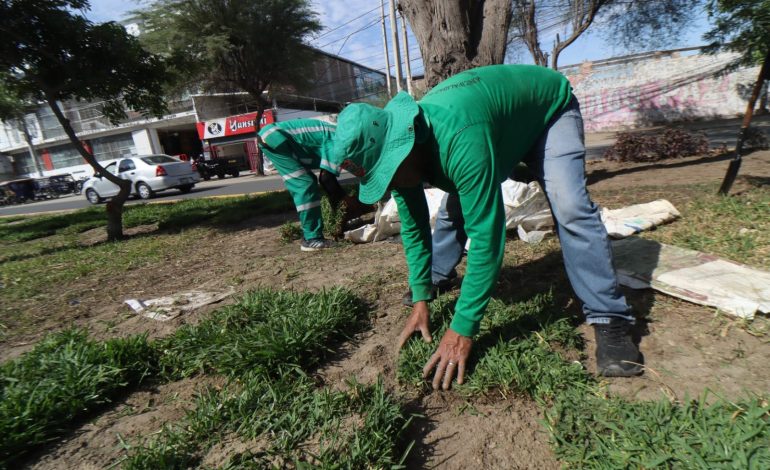 Piura: Son 86 puestos de trabajo temporales que ofertará la comuna provincial