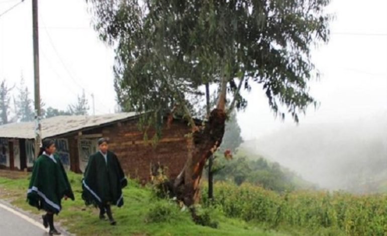 Senamhi advierte que continuarán bajas temperaturas en costa, sierra y selva