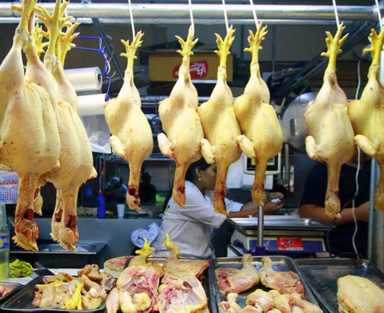 Cuarentena: SENASA detecta pollos con gripe aviar en el centro de Cusco