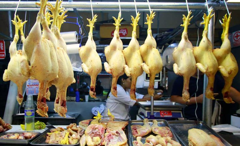 Cuarentena: SENASA detecta pollos con gripe aviar en el centro de Cusco