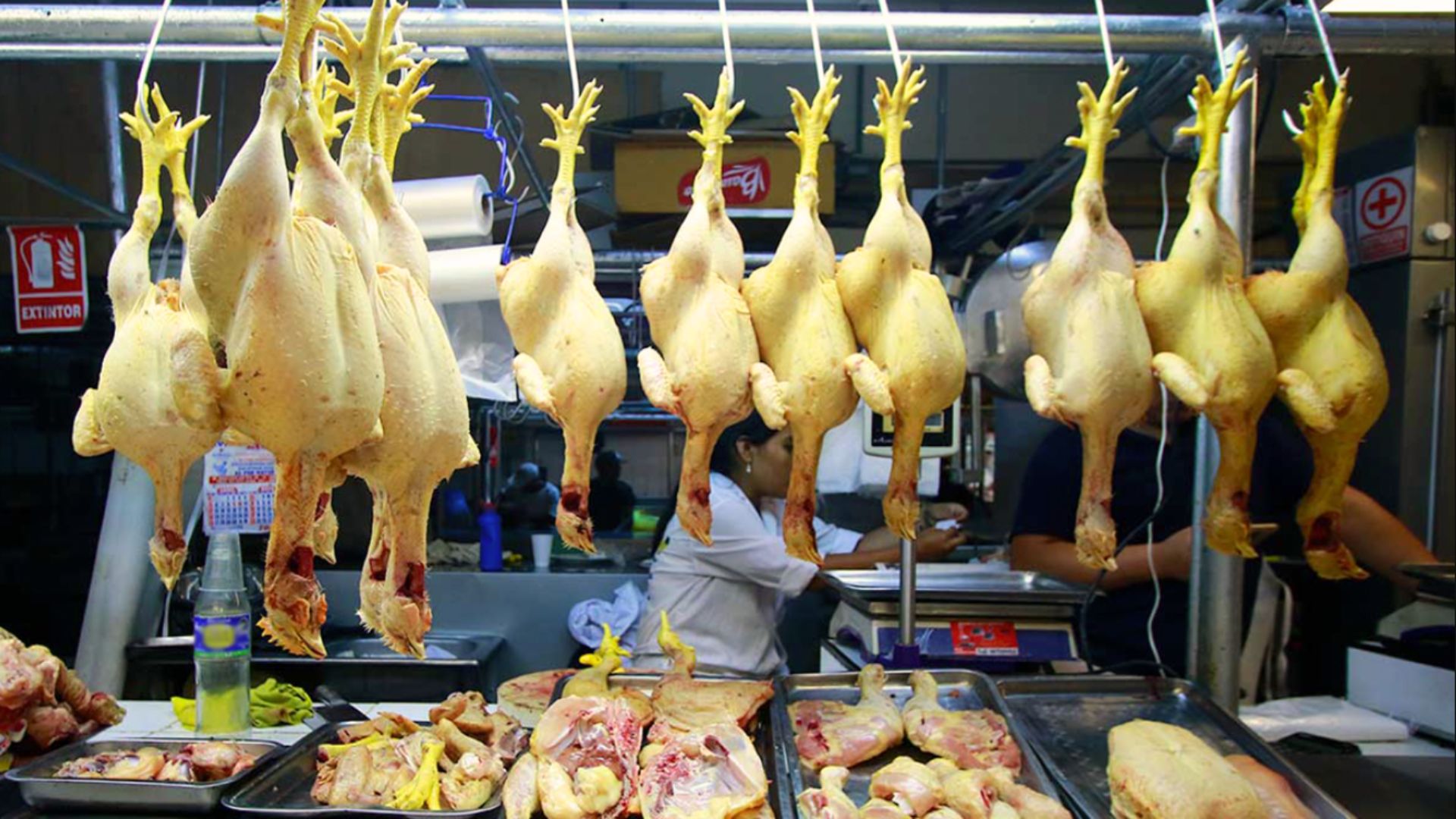 Cuarentena: SENASA detecta pollos con gripe aviar en el centro de Cusco