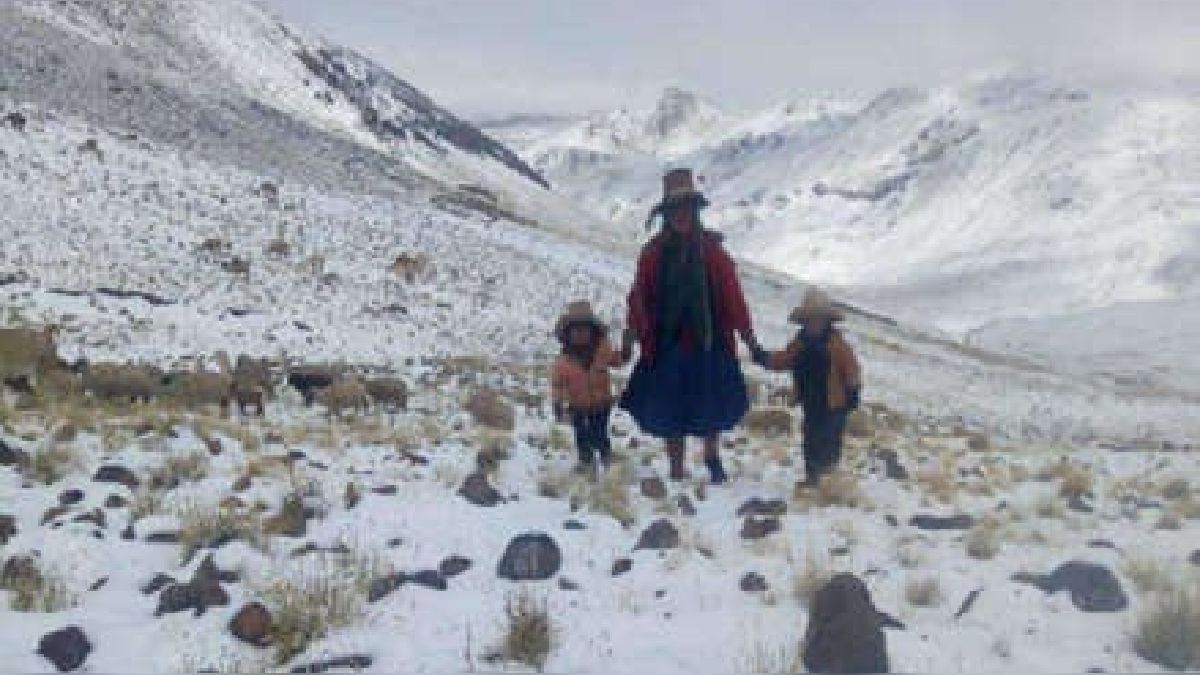 Bajo cero: Zonas altoandinas del país soportarán temperaturas de hasta menos 14°