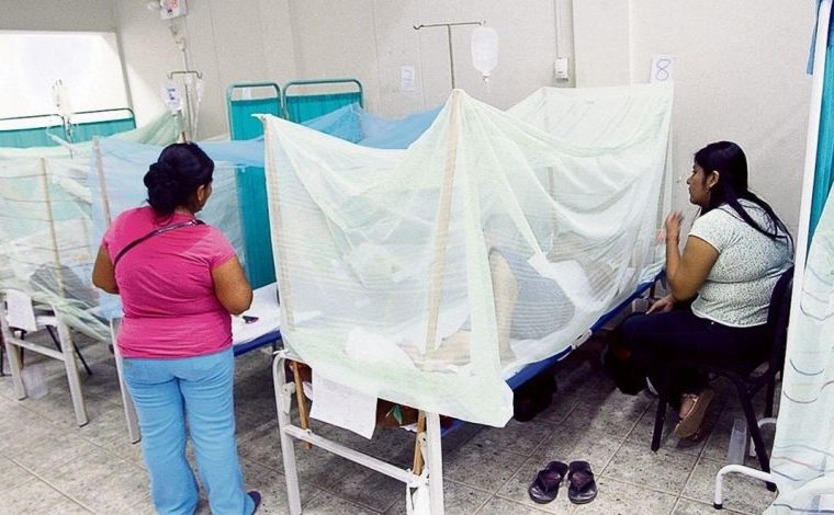 Casos de dengue disminuyen pero ya ha cobrado la vida de 27 pacientes