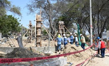 Piura: Con la tala de un árbol avance de Parque Néstor Martos es de 69%