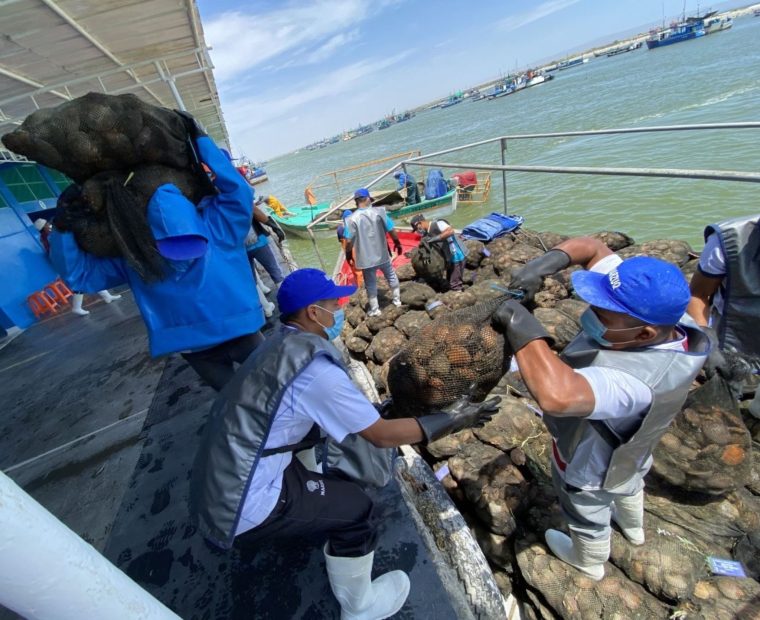 Piura: Direpro exhorta a la formalización a pescadores y acuicultores